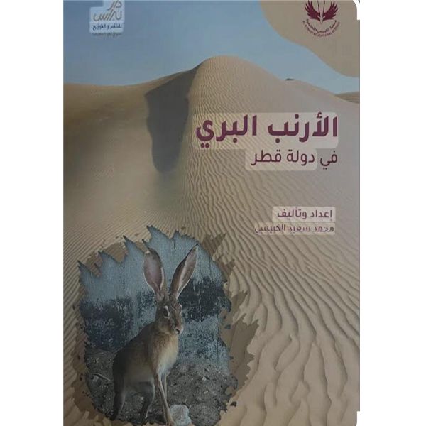 الأرنب البري – في دولة قطر